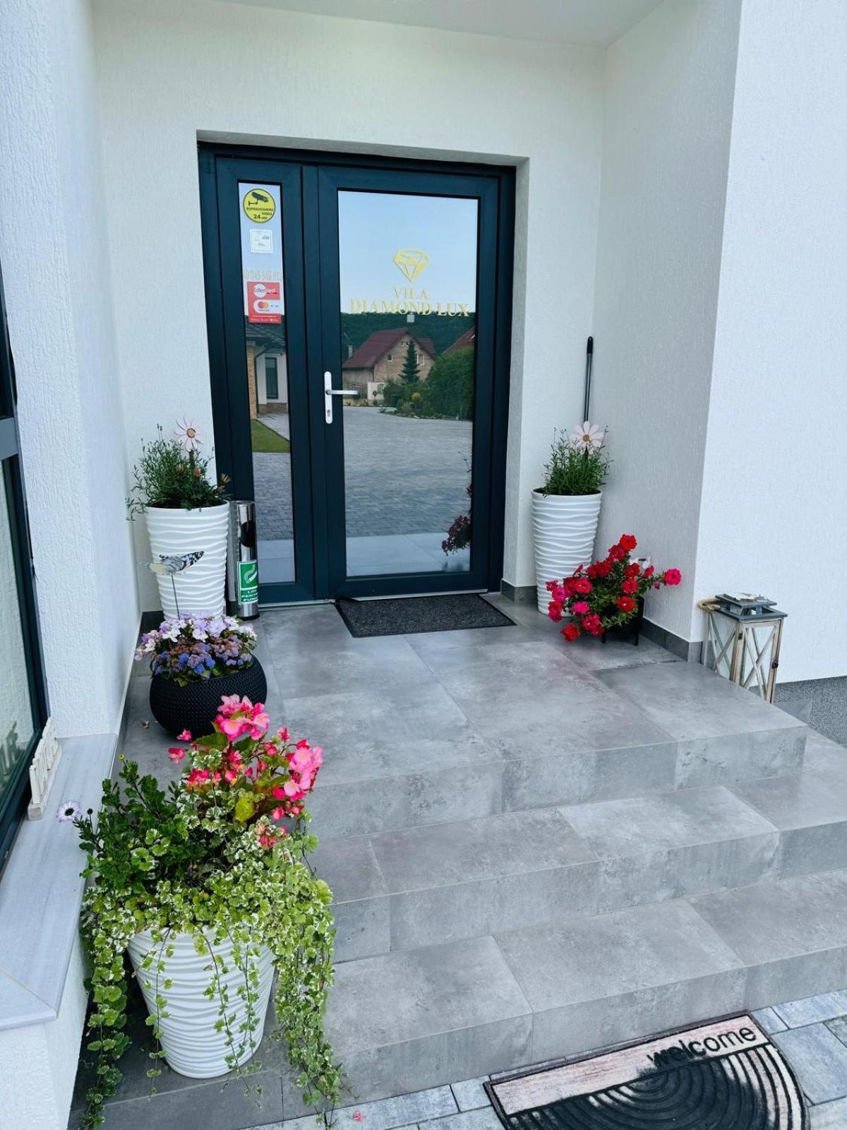 Vila Diamond Lux&Spa Sovata Exterior foto